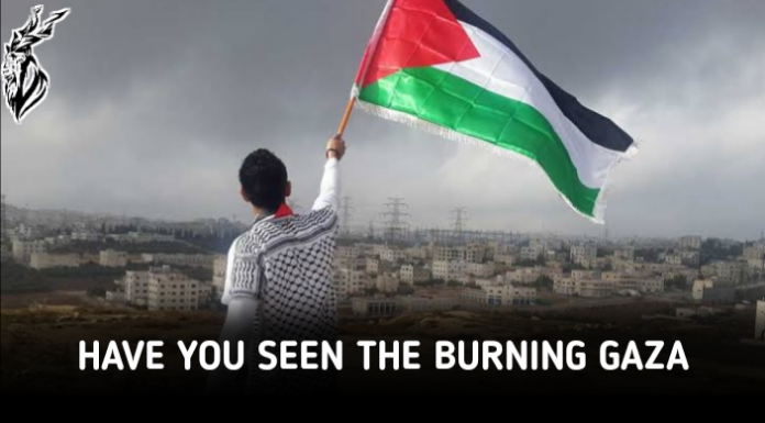 Have You Seen The Burning Gaza? By Myrah Zafar
